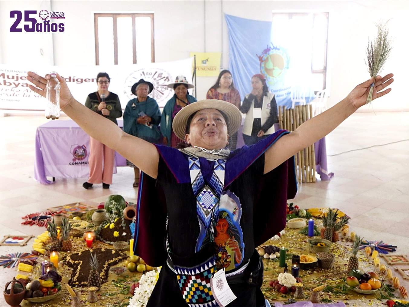 VII CUMBRE DE MUJERES INDÍGENAS DE ABYA YALA